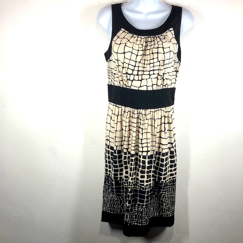 Max & Cleo cream and black dress size 4